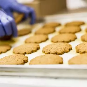 Essentials of Food Hygiene (Level 1)